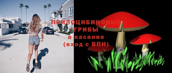 сатива Абинск