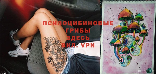 сатива Абинск