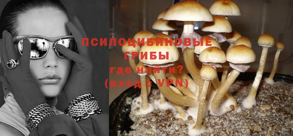 сатива Абинск