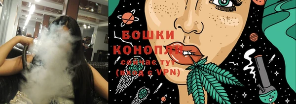 сатива Абинск