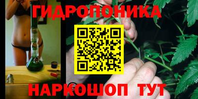 прущие крисы Кулебаки