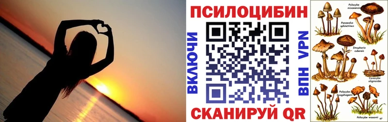 хочу Кизилюрт Псилоцибиновые грибы прущие грибы