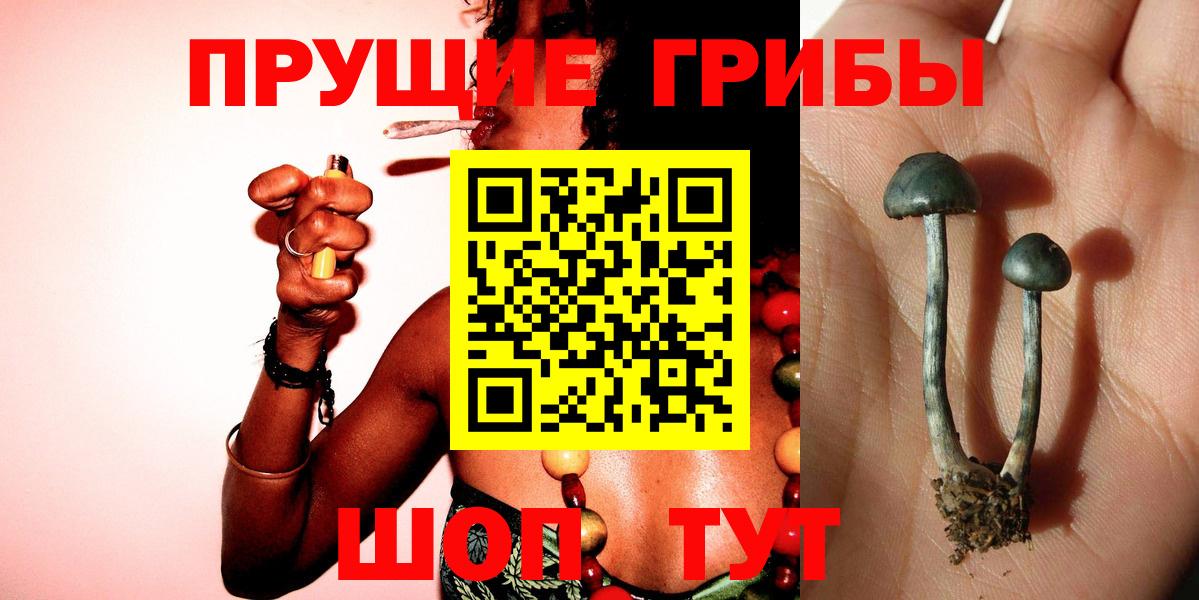 Галлюциногенные грибы Psilocybe  Вход с VPN  Псилоцибиновые грибы Psilocybe  Кизилюрт 